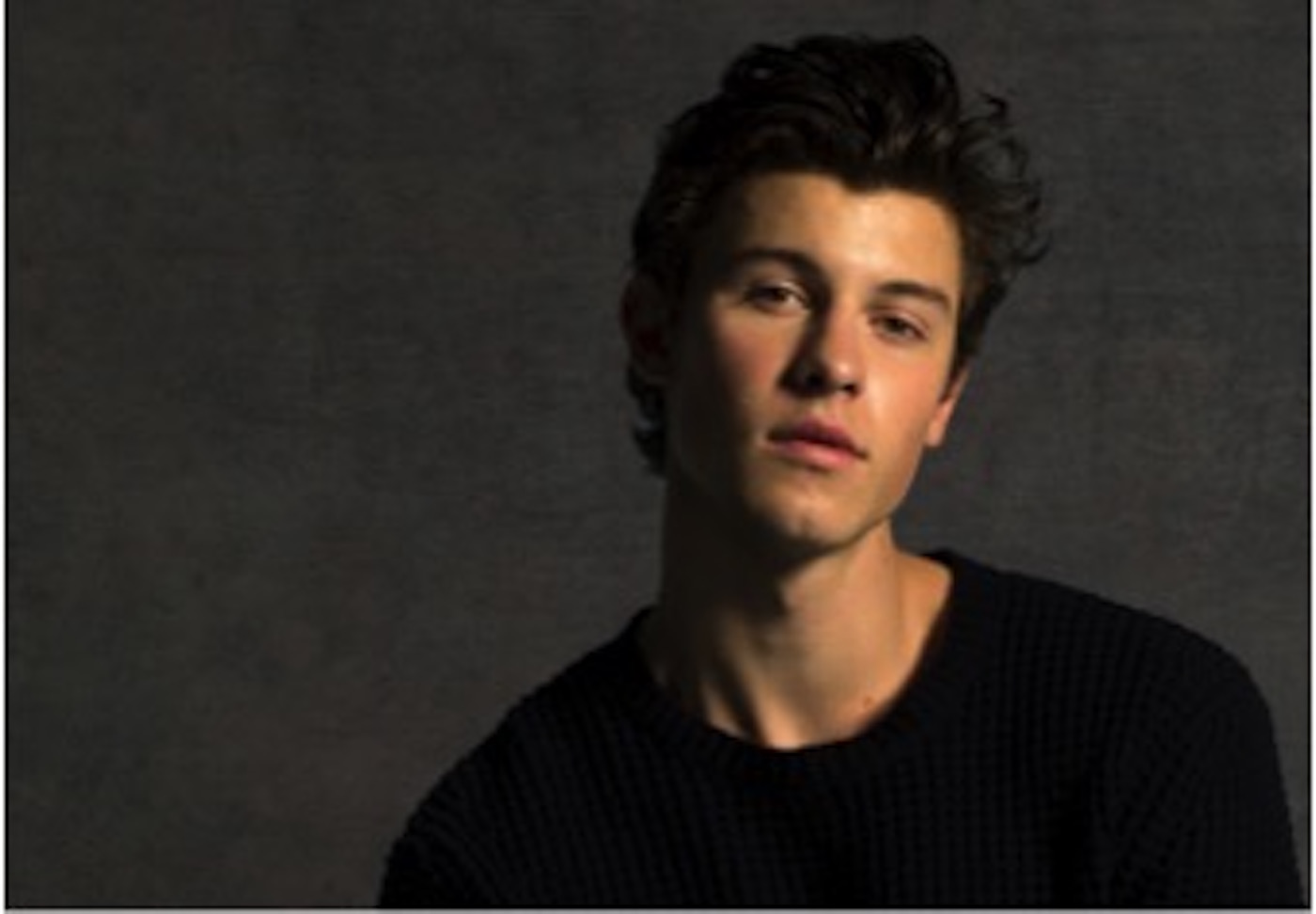 Ec Shawnmendes 洋楽情報 来日アーティスト セレブファッション情報なら ナンバーシックスティーン