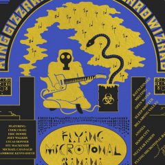 FLYING MICROTONAL BANANA by King Gizzard & the Lizard Wizard