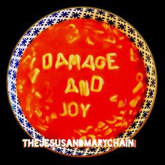 DAMAGE AND JOY by The Jesus and Mary Chain