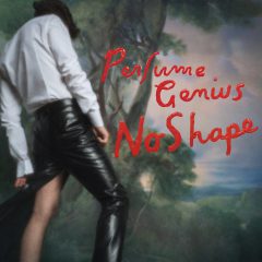 NO SHAPE by Perfume Genius