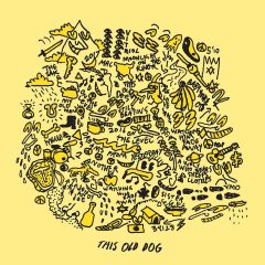 THIS OLD DOG by Mac DeMarco