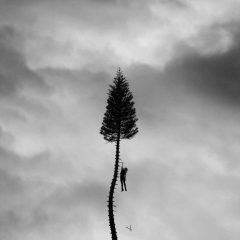 A BLACK MILE TO THE SURFACE by Manchester Orchestra