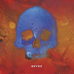 BRVNX (V) by The Bronx