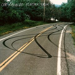 ELECTRIC TRIM by Lee Ranaldo