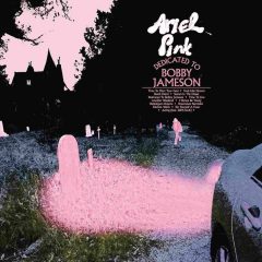 DEDICATED TO BOBBY JAMESON by Ariel Pink