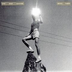 LOVE WHAT SURVIVES by Mount Kimbie