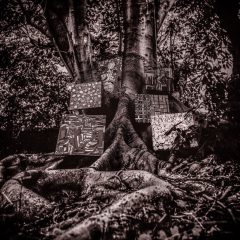 HARMONY OF DIFFERENCE [EP] by Kamasi Washington