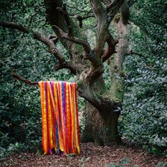 THE ANIMAL SPIRITS by James Holden & the Animal Spirits