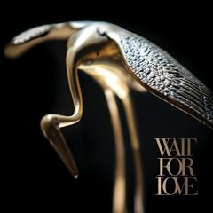 WAIT FOR LOVE by Pianos Become the Teeth