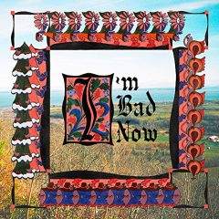 I’M BAD NOW by Nap Eyes