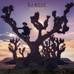 KNOCK KNOCK by DJ Koze