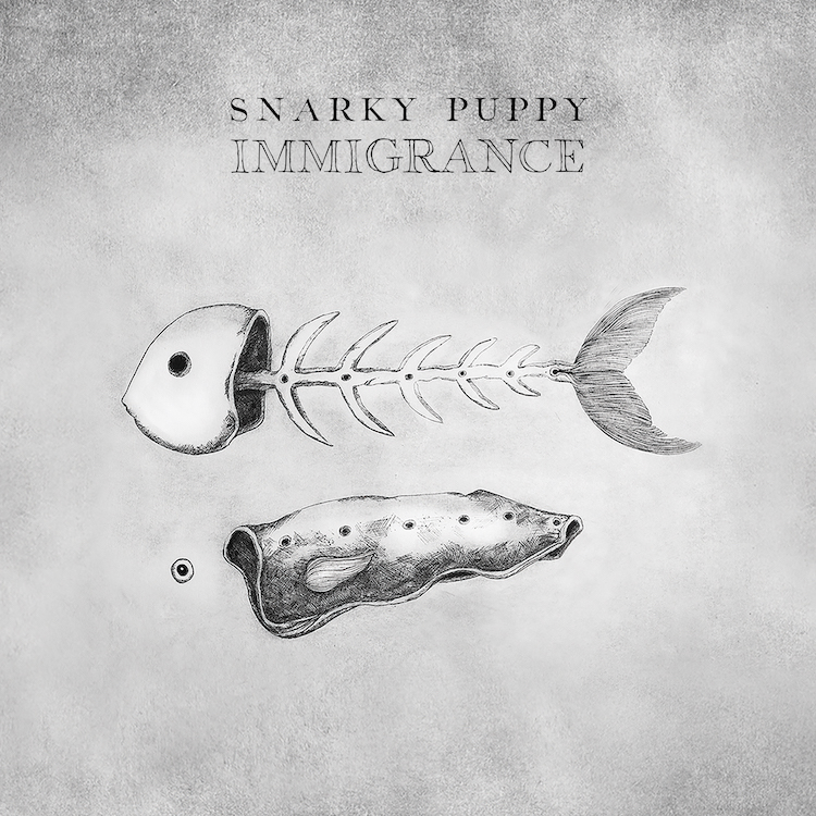 スナーキー・パピー、最新アルバム『Immigrance』から「Xavi」のレコーディング風景が公開
