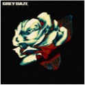 グレイ・デイズ、アルバム『アメンズ』の発売日が6月26日に延期