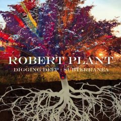 ロバート・プラント、ソロ・キャリアをまとめた限定盤2枚組作品を10月にリリース