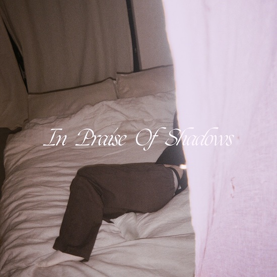 プーマ・ブルー、待望のデビュー・アルバム『イン・プレイズ・オブ・シャドウズ』が１月にリリース