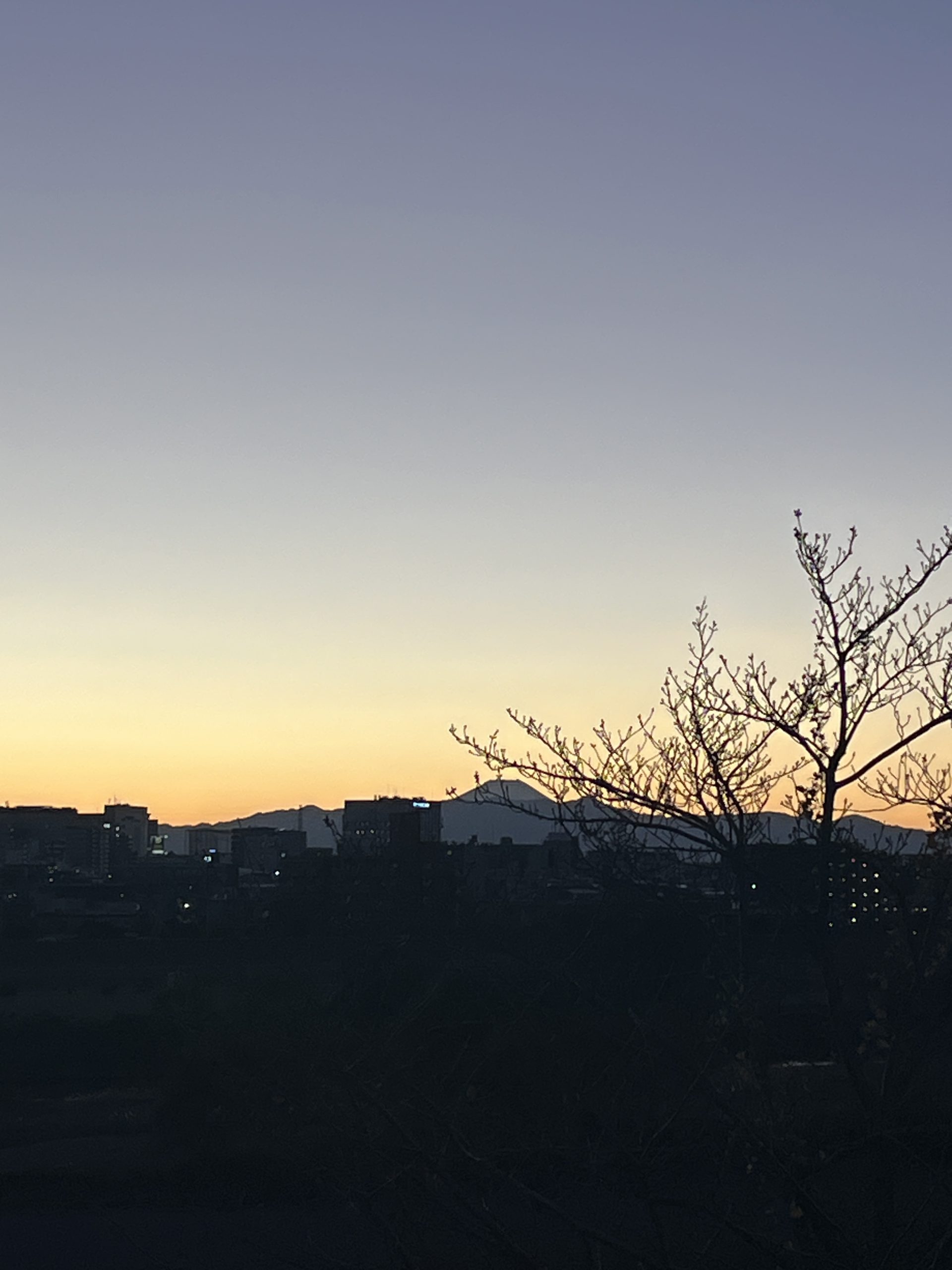 二子玉川公園からの夕陽